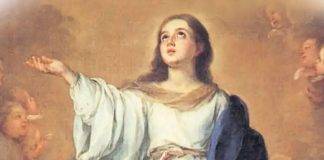 Natividad Virgen Maria