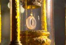 sagrado-anillo-2