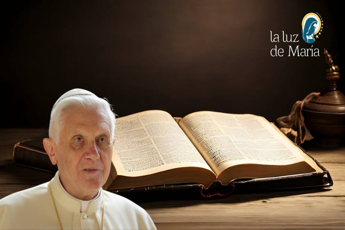 Bibbia Benedetto XVI