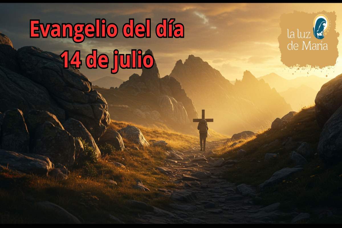 Evangelio 14 de julio
