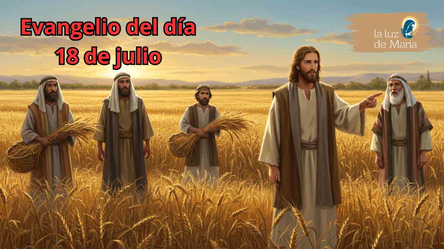Evangelio del día 18 de julio