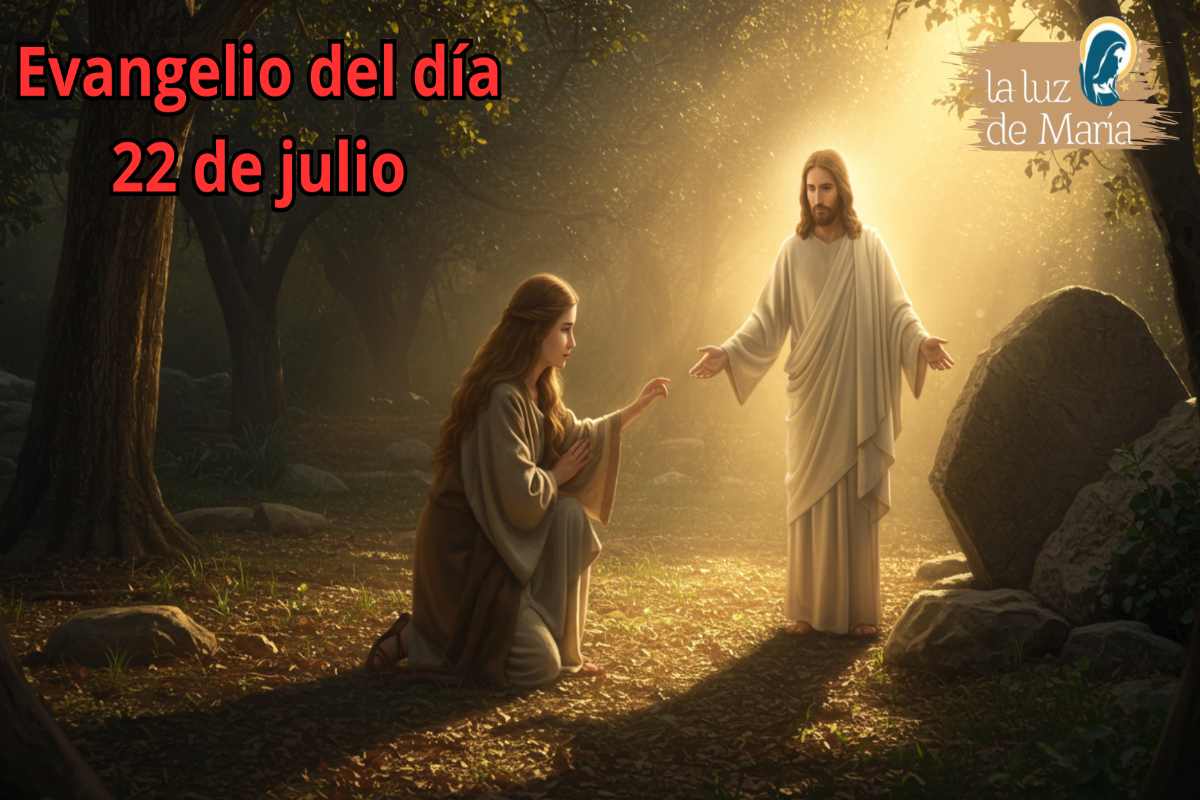 Evangelio del día 22 de julio