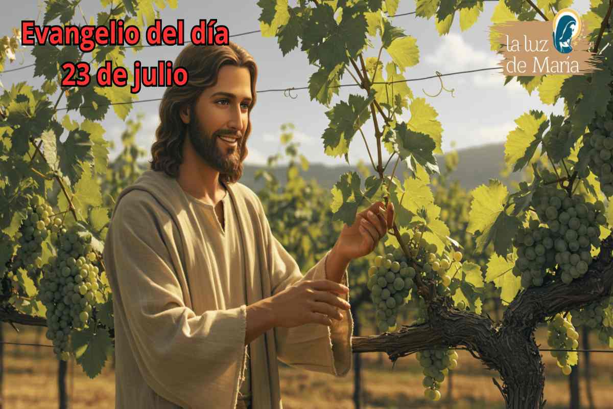 Evangelio del día 23 de julio