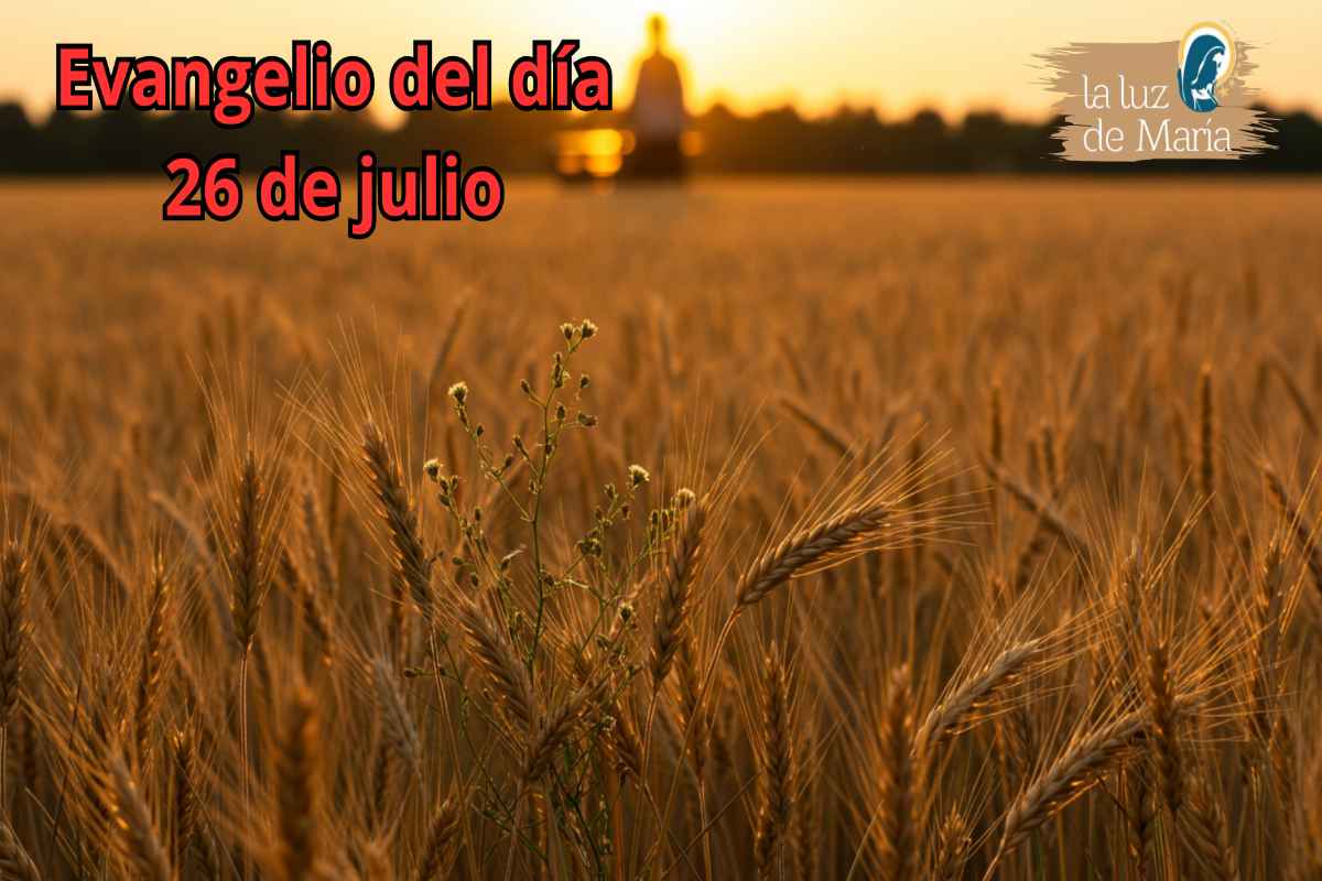 Evangelio del día 26 de julio