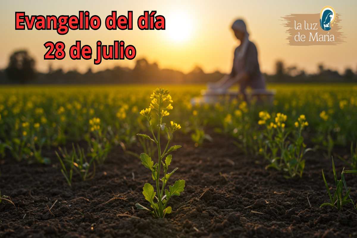 Evangelio del día 28 de julio