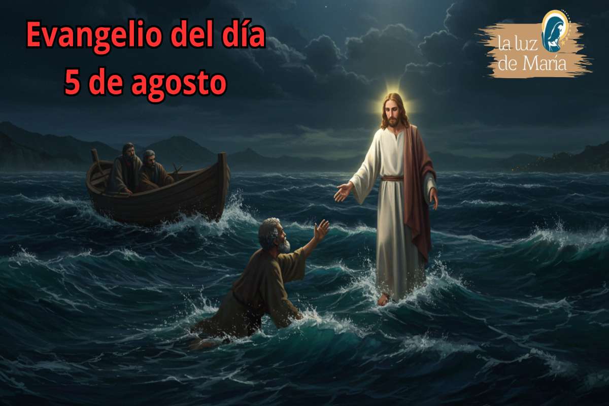 Evangelio del 5 de agosto