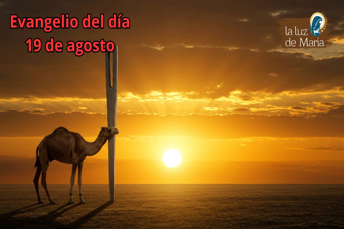 Evangelio del día 19 de agosto
