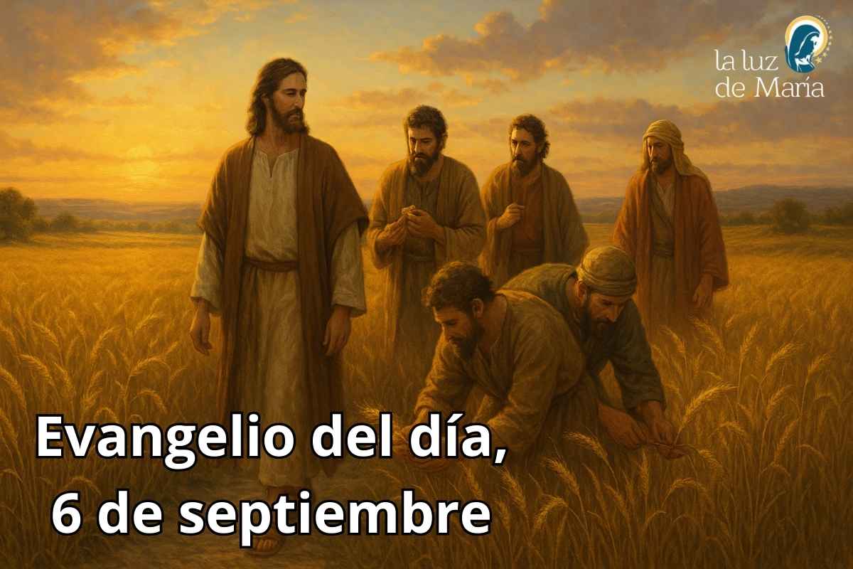 Evangelio del día, 6 de septiembre