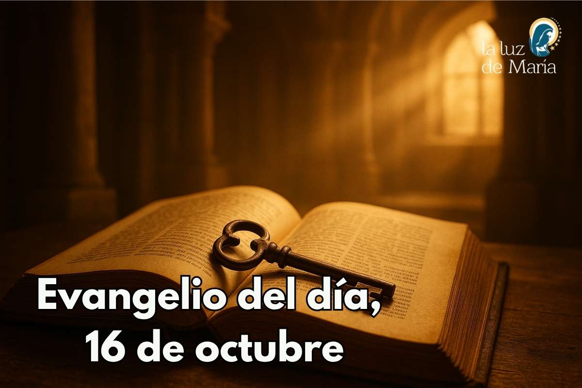 Evangelio del día, 16 de octubre