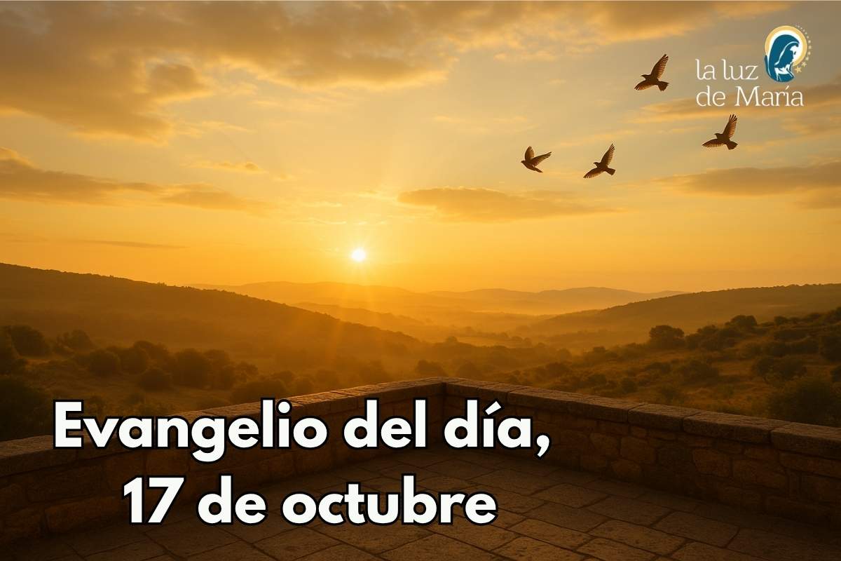 Evangelio del día, 17 de octubre