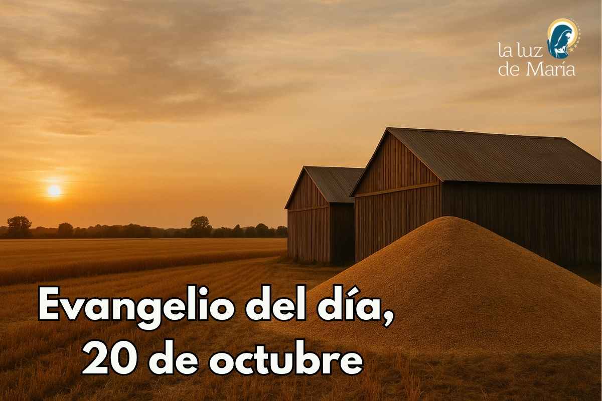 Evangelio del día, 20 de octubre