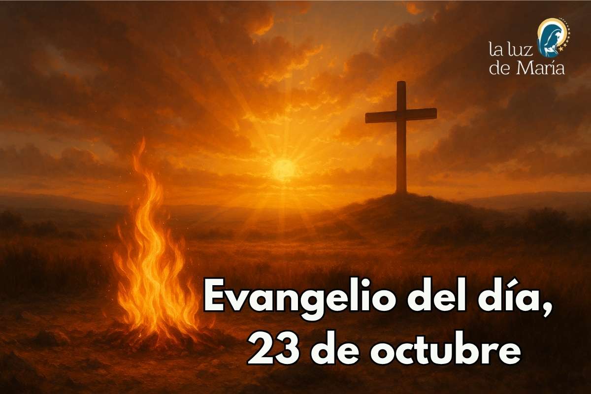 Evangelio del día, 23 de octubre