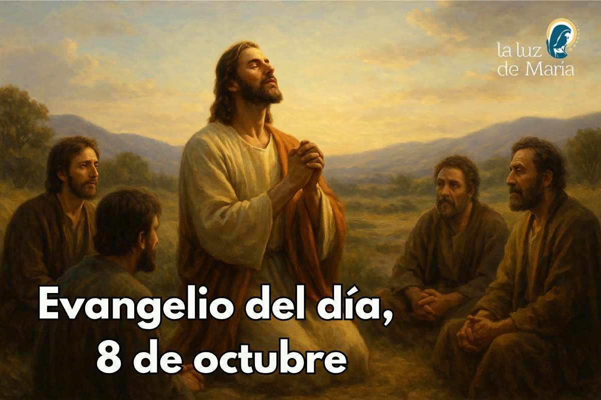 Evangelio del día, 8 de octubre
