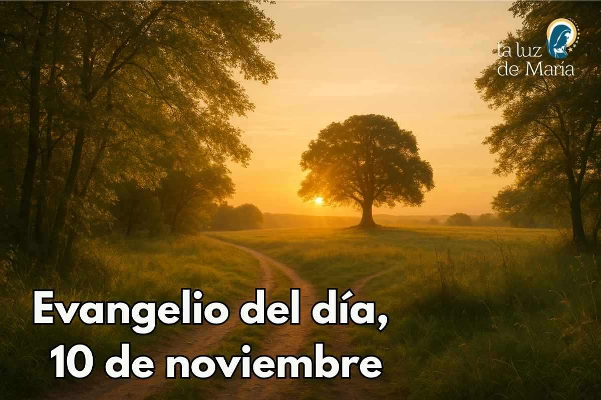 Evangelio del día, 10 de noviembre