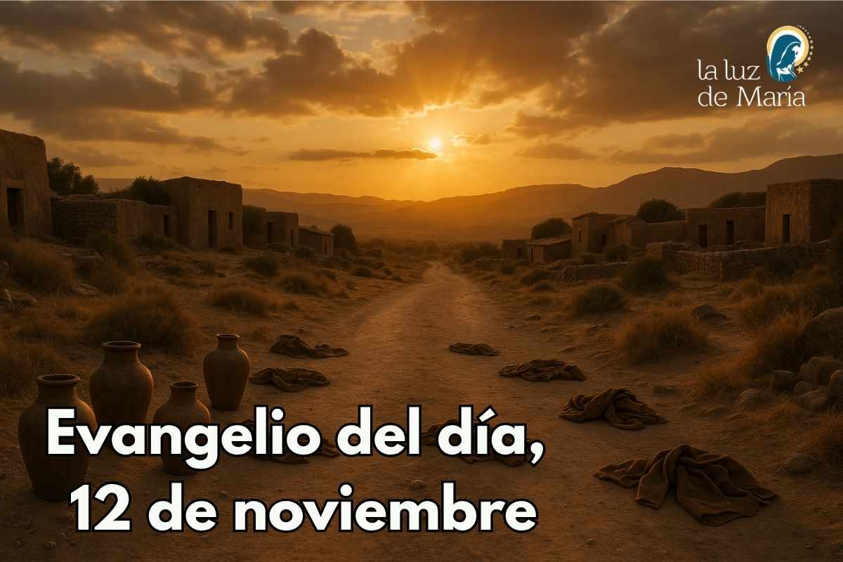 Evangelio del día, 12 de noviembre