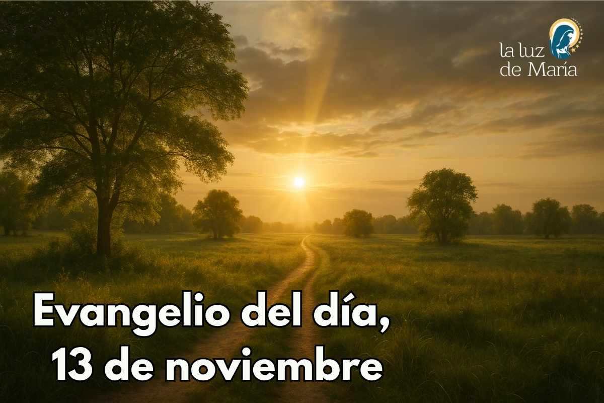 Evangelio del día, 13 de noviembre
