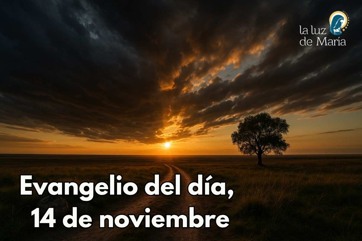 Evangelio del día, 14 de noviembre