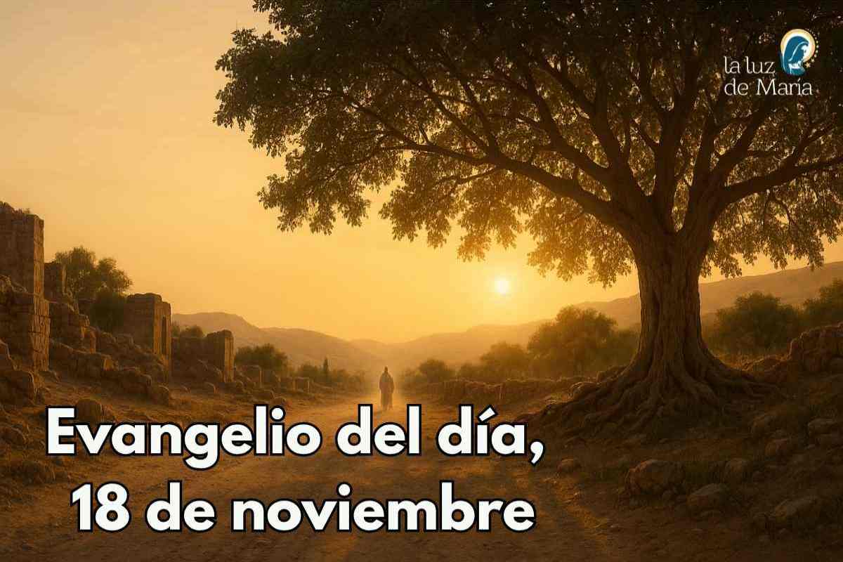 Evangelio del día, 18 de noviembre