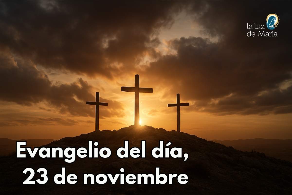 Evangelio del día, 23 de noviembre
