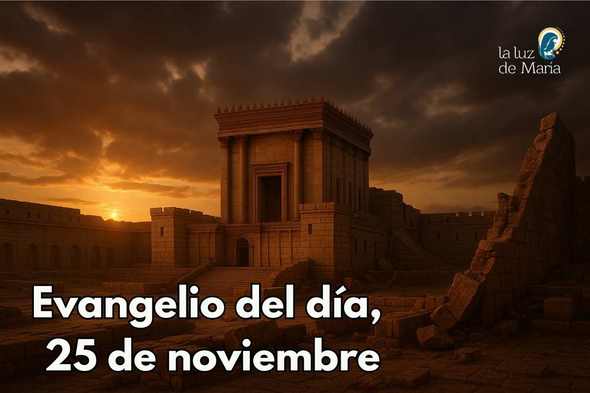 Evangelio del día, 25 de noviembre