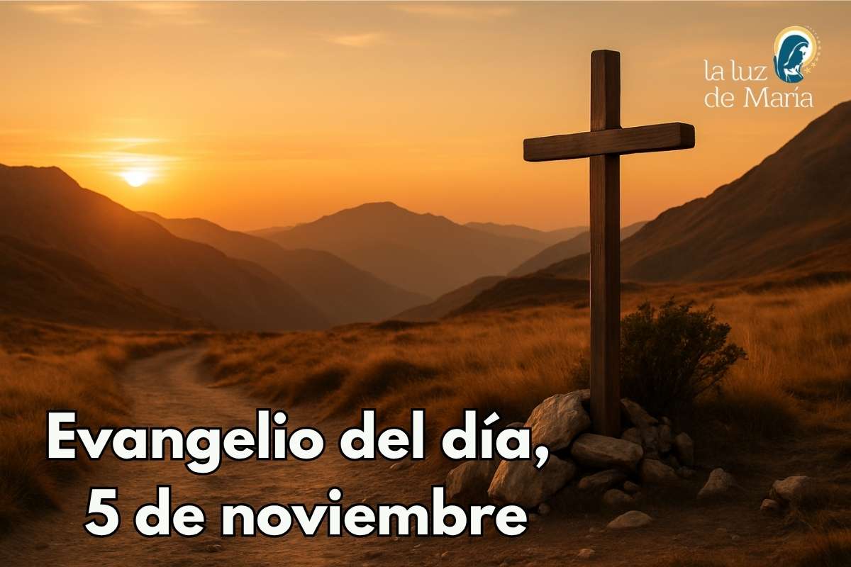 Evangelio del día, 5 de noviembre