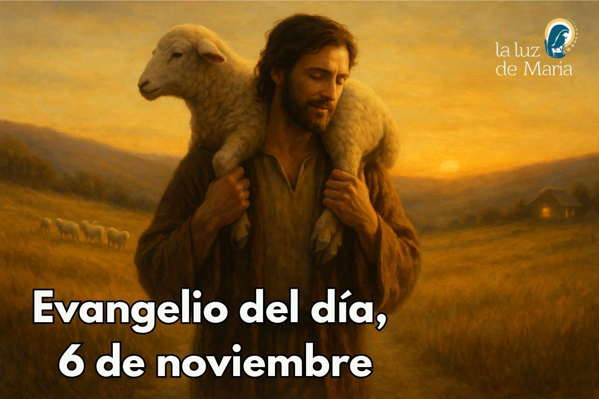Evangelio del día, 6 de noviembre