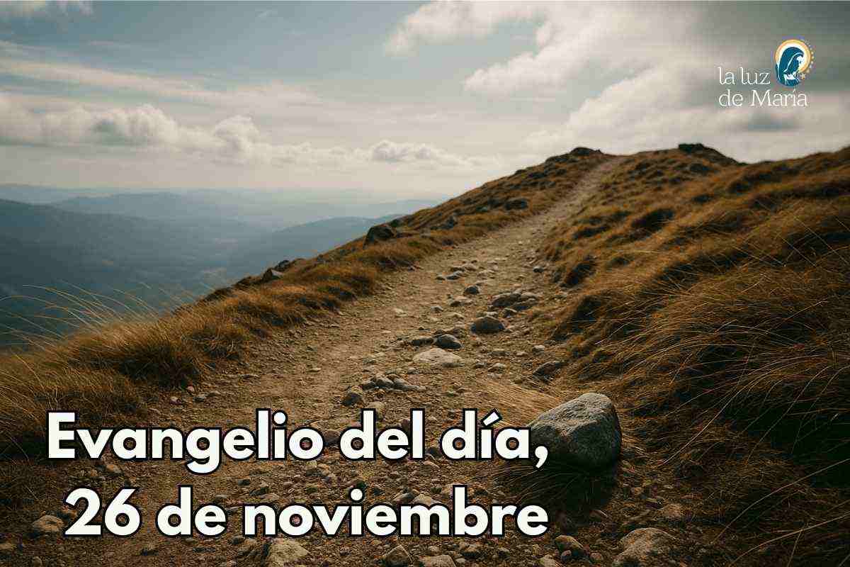 Evangelio del día, 26 de noviembre